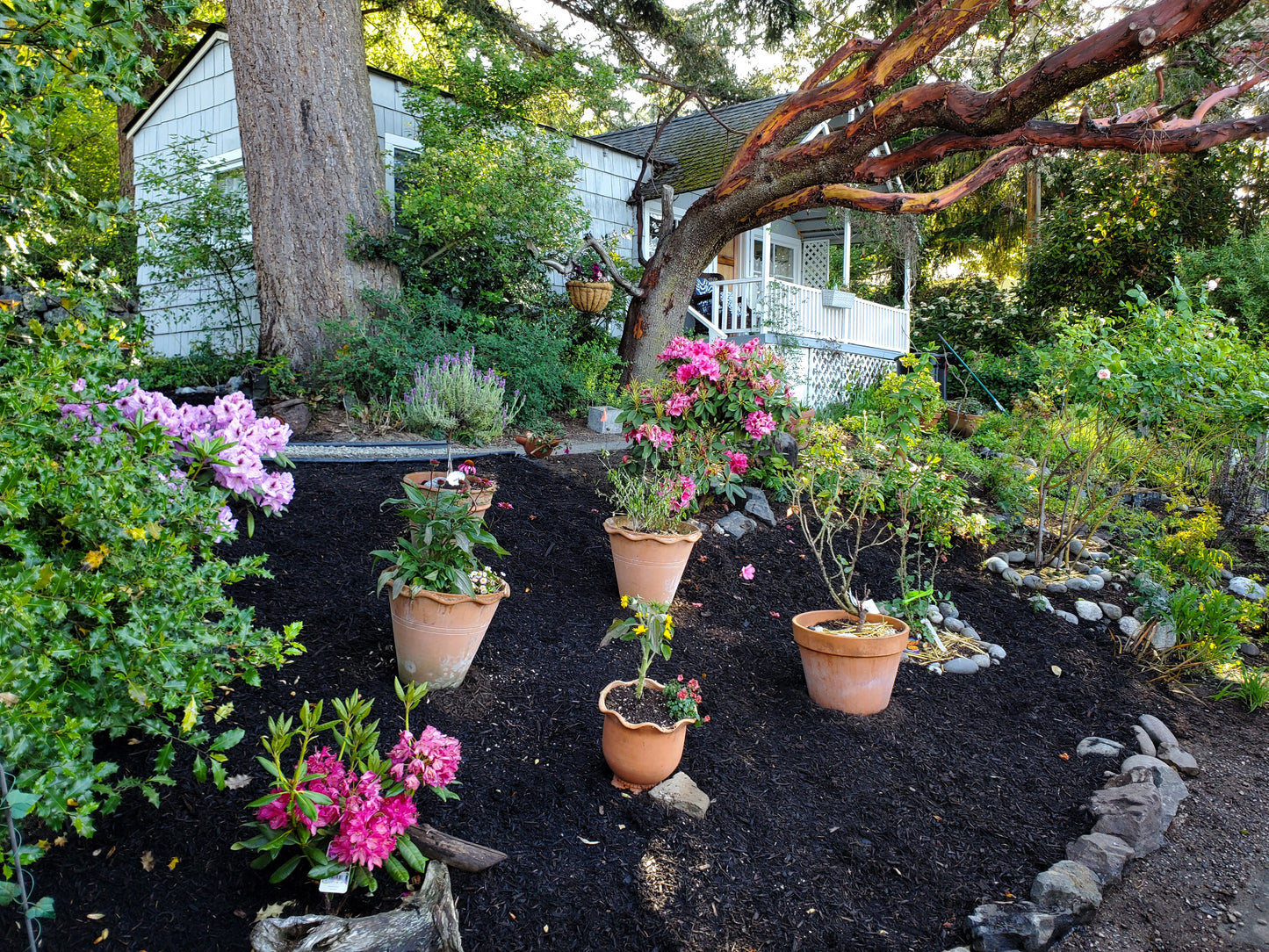 Jenny’s Cottage Vacation Rental near Port Townsend WA perfect for couples or a wedding retreat