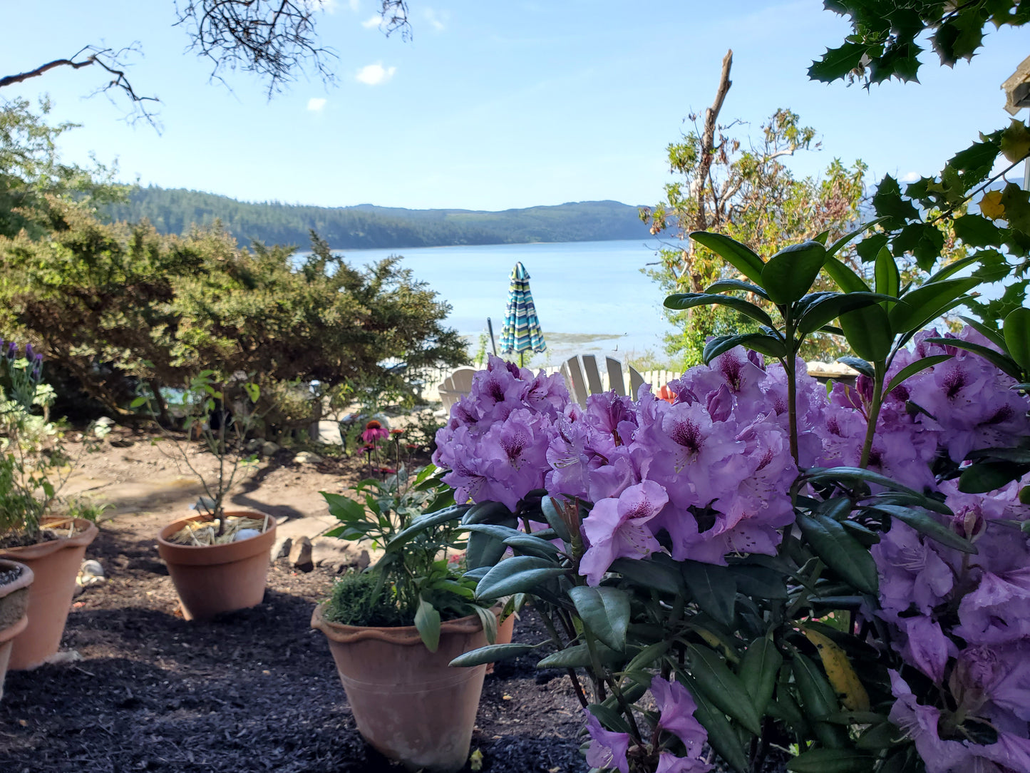 Bay Cottage Sleeps up to 5 in Port Townsend WA Vacation Rental