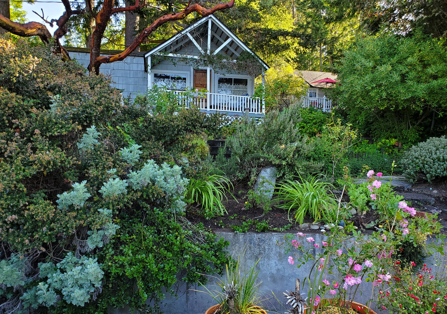 Jenny’s Cottage Vacation Rental near Port Townsend WA perfect for couples or a wedding retreat