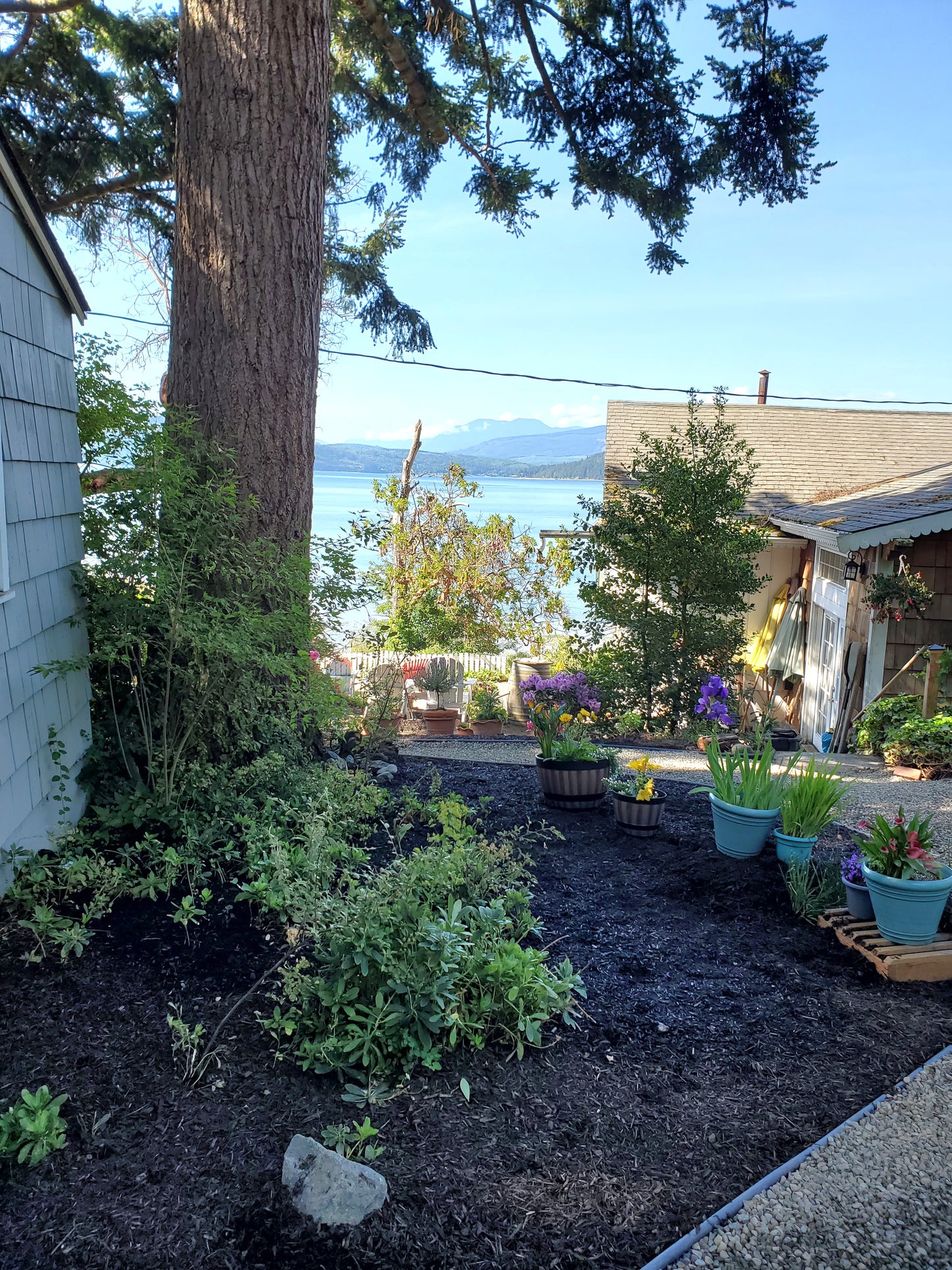 Bay Cottage Sleeps up to 5 in Port Townsend WA Vacation Rental